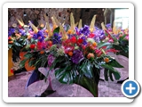 Girona (84)