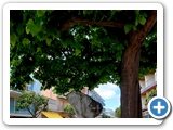 Lloret de mar (68)